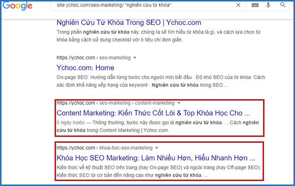 Tìm cơ hội đặt liên kết nội bộ | Ychoc.com
