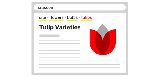 Tối ưu SEO Onpage bằng cách hiển thị breadcrumb trên trang web
