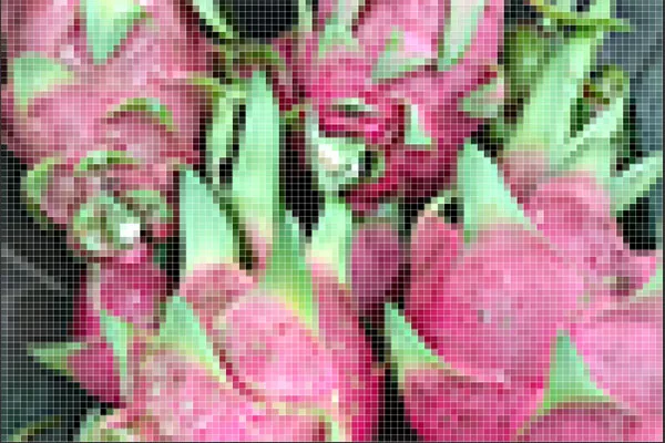 Hình trái thanh long có độ phân giải thấp nên lộ rõ các ô vuông pixel trên bức hình