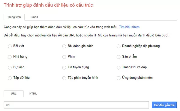 Nhập thông tin về trang web cần tạo Schema Markup