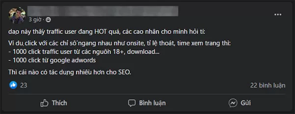 Câu hỏi về so sánh hiệu quả SEO giữa traffic user và traffic từ Google Ads