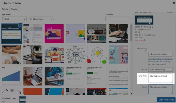 Hướng dẫn thêm caption cho hình ảnh trên website WordPress