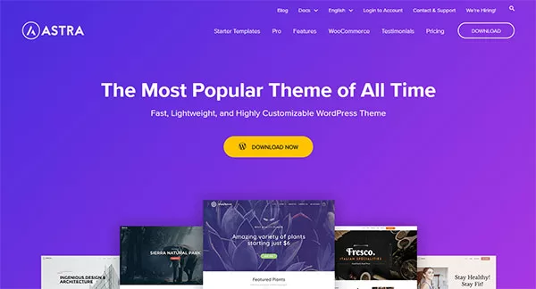 Giới thiệu theme Astra